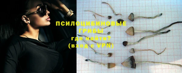 МДПВ Богородицк