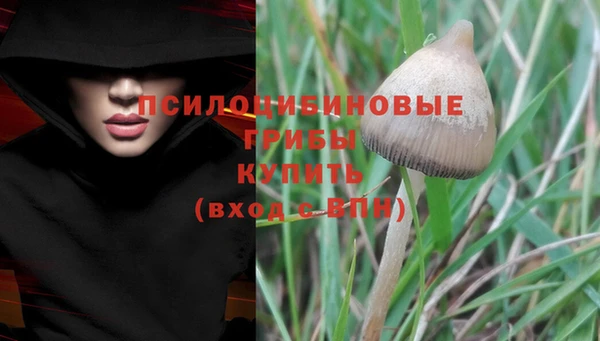 гидропоника Беломорск