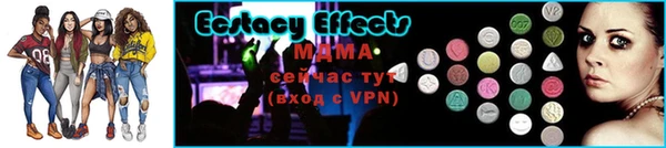 МДПВ Богородицк